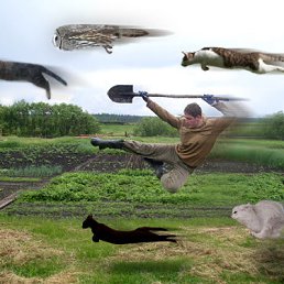 ���� Nata, ������, 52 ���� - ��������� 15 ����� 2010