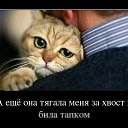  Misterij,  -  10  2013      Ȼ