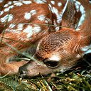 ���� ������, ��������, 30 ��� - ��������� 12 ���� 2010