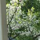 ���� ������, �����-���������, 70 ��� - ��������� 22 ��� 2012 � ������ ��������� ��������