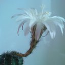 ���� �����, ������, 56 ��� - ��������� 12 ������� 2012