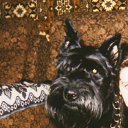 ���� ����, ����������� - ��������� 13 ������ 2010 � ������ ��������