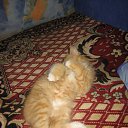 ���� �������, ������, 34 ���� - ��������� 1 ���� 2010 � ������ �����