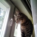 ������ ���� - ������ ����� �� ������� ���� ���� � ������ ��������