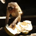 ���� ���������, ������, 50 ��� - ��������� 16 ������� 2011