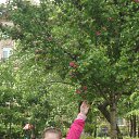 ���� �����, �������������, 25 ��� - ��������� 28 ���� 2013 � ������ ������.�