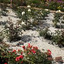 ���� �������, ���������, 59 ��� - ��������� 31 ���� 2011 � ������ �������