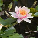 ���� ����� - ���������� ��������!!!, �����������, 56 ��� - ��������� 10 ������ 2010 � ������ ������� �����