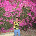  , -, 71  -  31  2013    2013