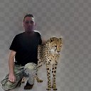 ���� ������, ���������, 59 ��� - ��������� 31 ����� 2013