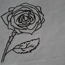 ���� ����, ������������, 37 ��� - ��������� 11 �������� 2011 � ������ �PetLove�