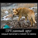 ���� ��, ������������, 39 ��� - ��������� 12 ������� 2011 � ������ �����-���� � �����