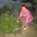  , , 68  -  4  2010   -2010