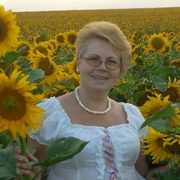 ���� ������, �������, 71 ��� - ��������� 14 ���� 2012