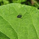 ���� �����, ��������, 45 ��� - ��������� 3 ������� 2010 � ������ ����� �������