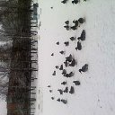 ���� Uktam, �����, 38 ��� - ��������� 26 ����� 2012 � ������ ���� ����������