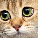 ���� �����, ������ - ��������� 26 ������ 2012 � ������ �����������