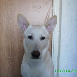 ���� ������, ������, 45 ��� - ��������� 15 ������ 2013