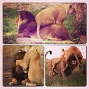 ��� ���! ��� ����, �� � ����� :) �� ������� ���� ����������