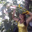 ���� �����, ������, 42 ���� - ��������� 30 ������ 2012 � ������ ���������