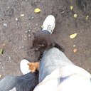 ���� ������ ���, �������, 59 ��� - ��������� 26 ���� 2013 � ������ ��������