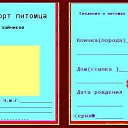  "",  -  2  2011    .