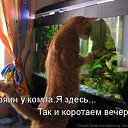 ���� ��������, ������ - ��������� 27 �������� 2010 � ������ ���������!!!�