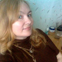 , 62, 