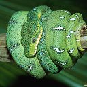 ���� �����, ������, 24 ���� - ��������� 26 ���� 2013