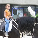 ���� ������, ���������, 24 ���� - ��������� 26 ������ 2012 � ������ ���� ����������