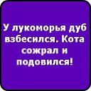       =&gt; http://vkontakte.ru/app2369773     