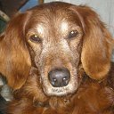  , , 35  -  12  2009   )))