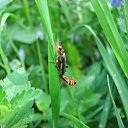 ���� �����, ��������, 45 ��� - ��������� 3 ������� 2010 � ������ ����� �������