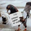 ���� Pandora, ������, 37 ��� - ��������� 22 ������� 2012 � ������ ���� ����������