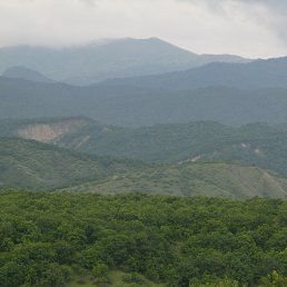 ���� Fox, �������, 51 ��� - ��������� 22 ���� 2013