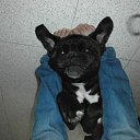  Lina, , 41  -  22  2012   Moi maljchiki