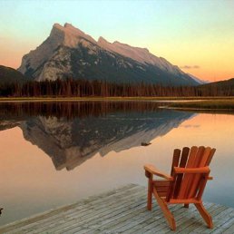 ��������, �������, 35 ���