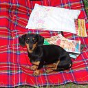 ���� Natusik, �����������, 48 ��� - ��������� 27 ���� 2011 � ������ �������