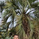  , , 49  -  13  2010   ,,25.09 - 07.10 2010