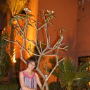 ���� �����, ���������, 44 ���� - ��������� 11 ���� 2012 � ������ ���� ����������