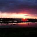 ���� ��� �������