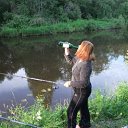  , , 36  -  31  2010    2010