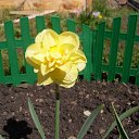 ���� Ksenia, ��� - ��������� 14 ������ 2012 � ������ �......�