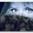 ���� �����, ������, 46 ��� - ��������� 10 ���� 2010 � ������ �������