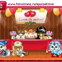  -   , , 84  -  7  2010   PetLove