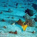 ���� Mr_h, �������, 47 ��� - ��������� 20 �������� 2012 � ������ �������� � ������� ������� �����