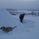 ������ "����"... �� ������� ����� 2010�