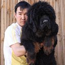 ������ ��� (5 �������)
www.kharsor.mn