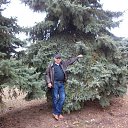 ���� ������, ����, 65 ��� - ��������� 7 ��� 2013 � ������ ���� ����������