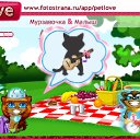  ,  , 41  -  29  2010   PetLove